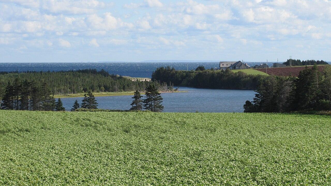 Farm fields and a coastal inlet at Basin Head, with the Gulf of St. Lawrence on the horizon