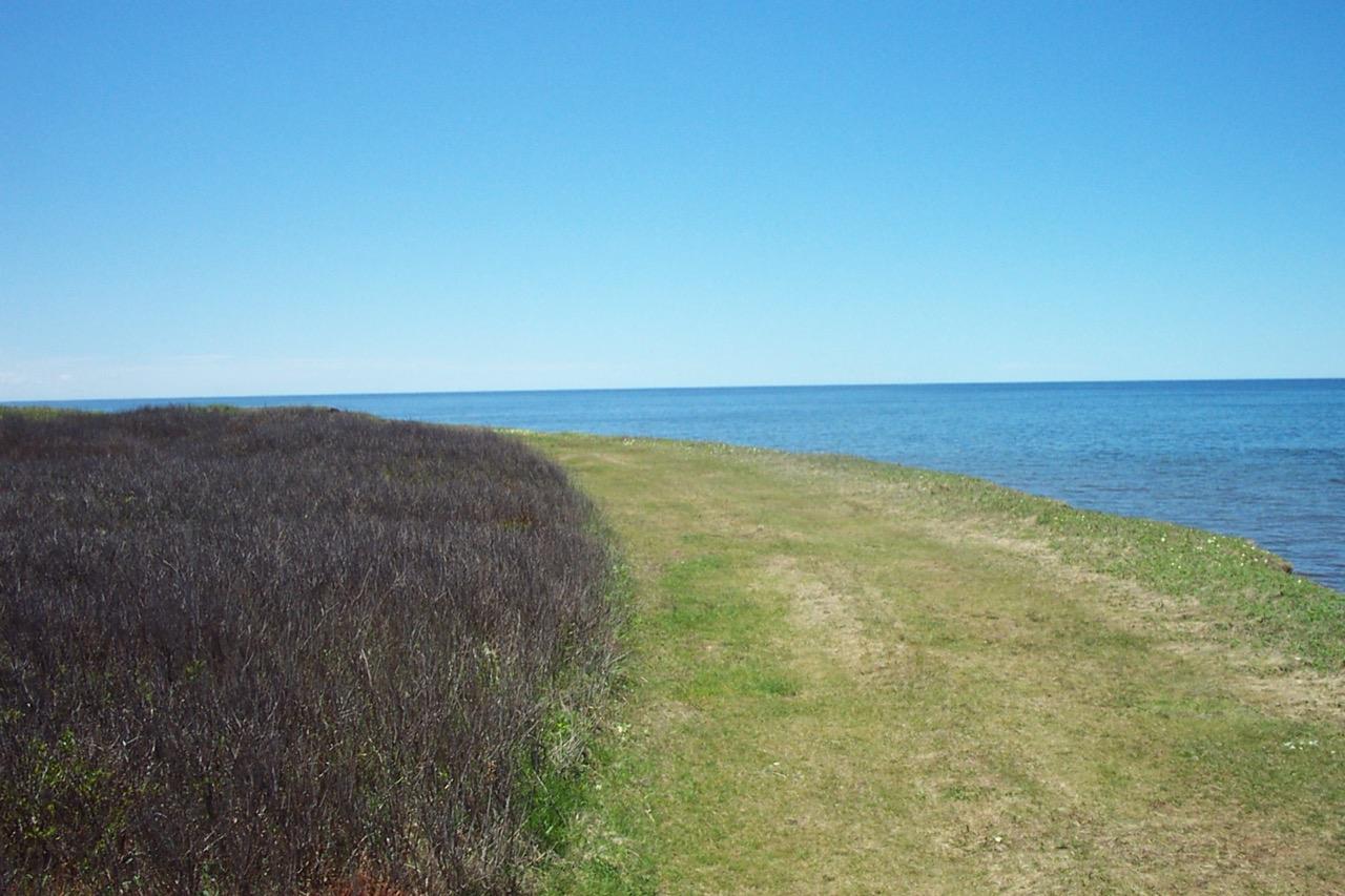 A grassy track along the shore at Cable Head, above the beach