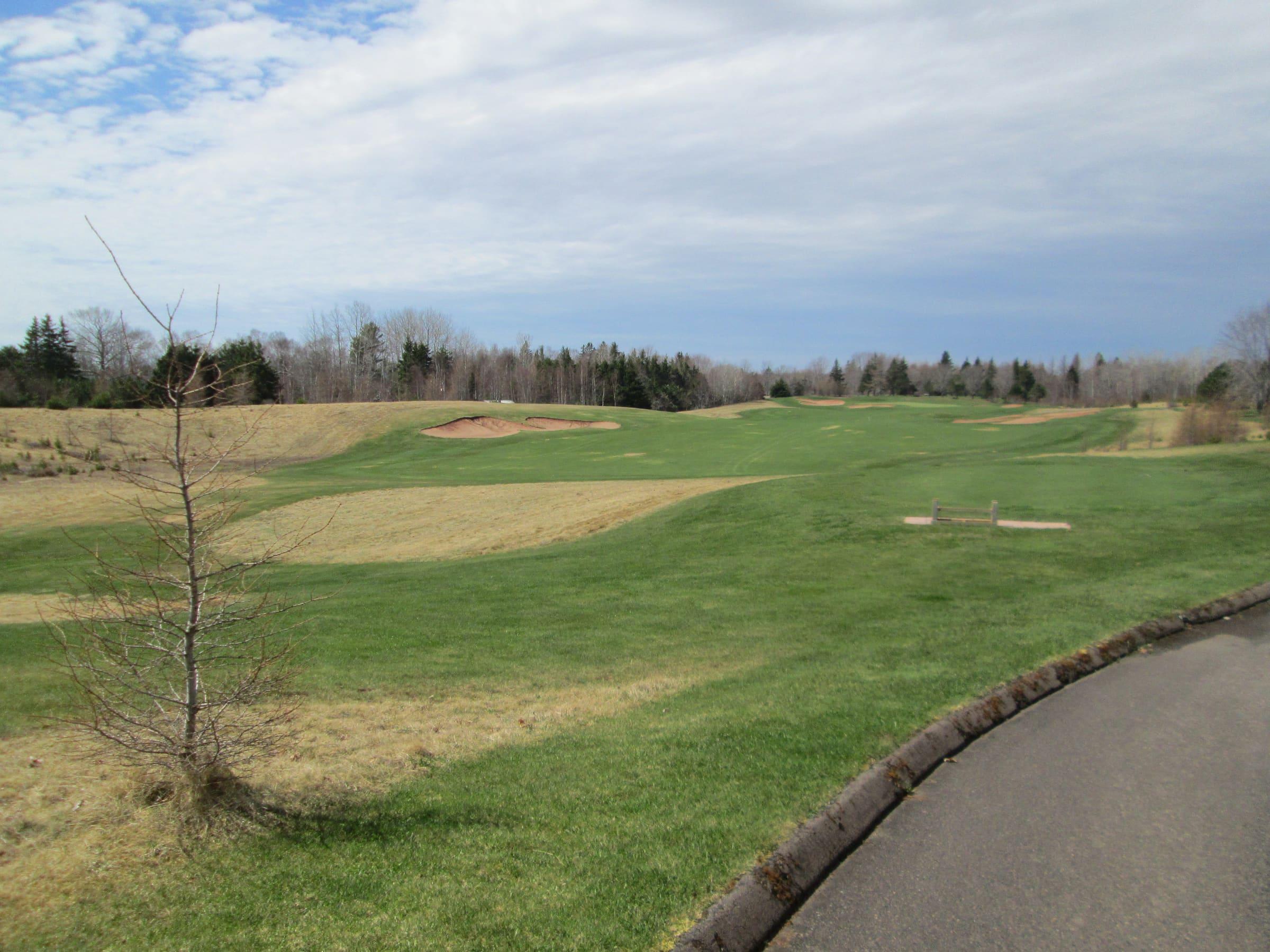 Fairways and trees at Dundarave Golf Course in Brudenell