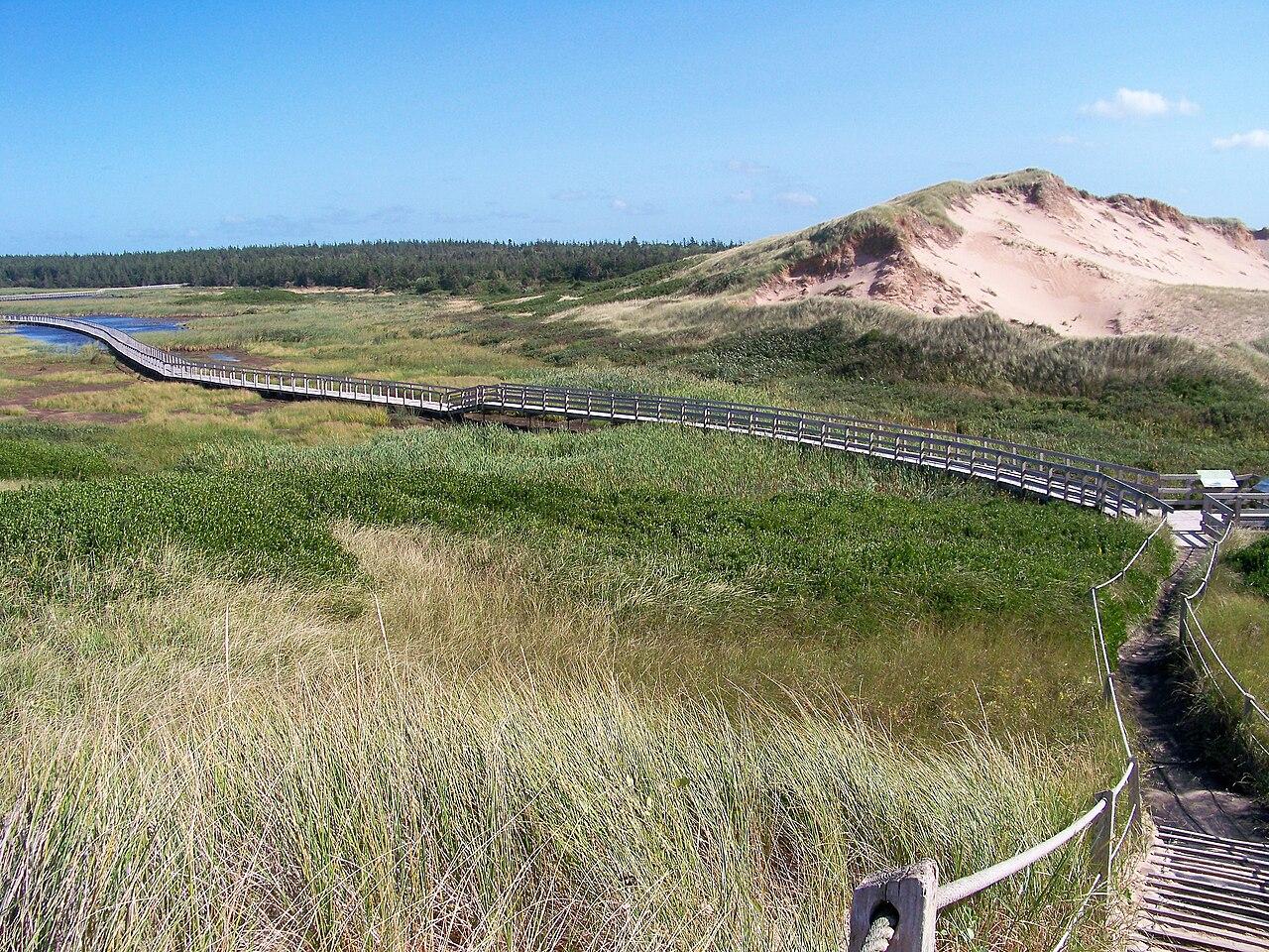 The boardwalk across the Greenwich dunes, with a sand hill beyond the marsh