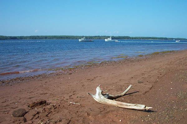 A quiet stretch of shore at Kings Castle Provincial Park