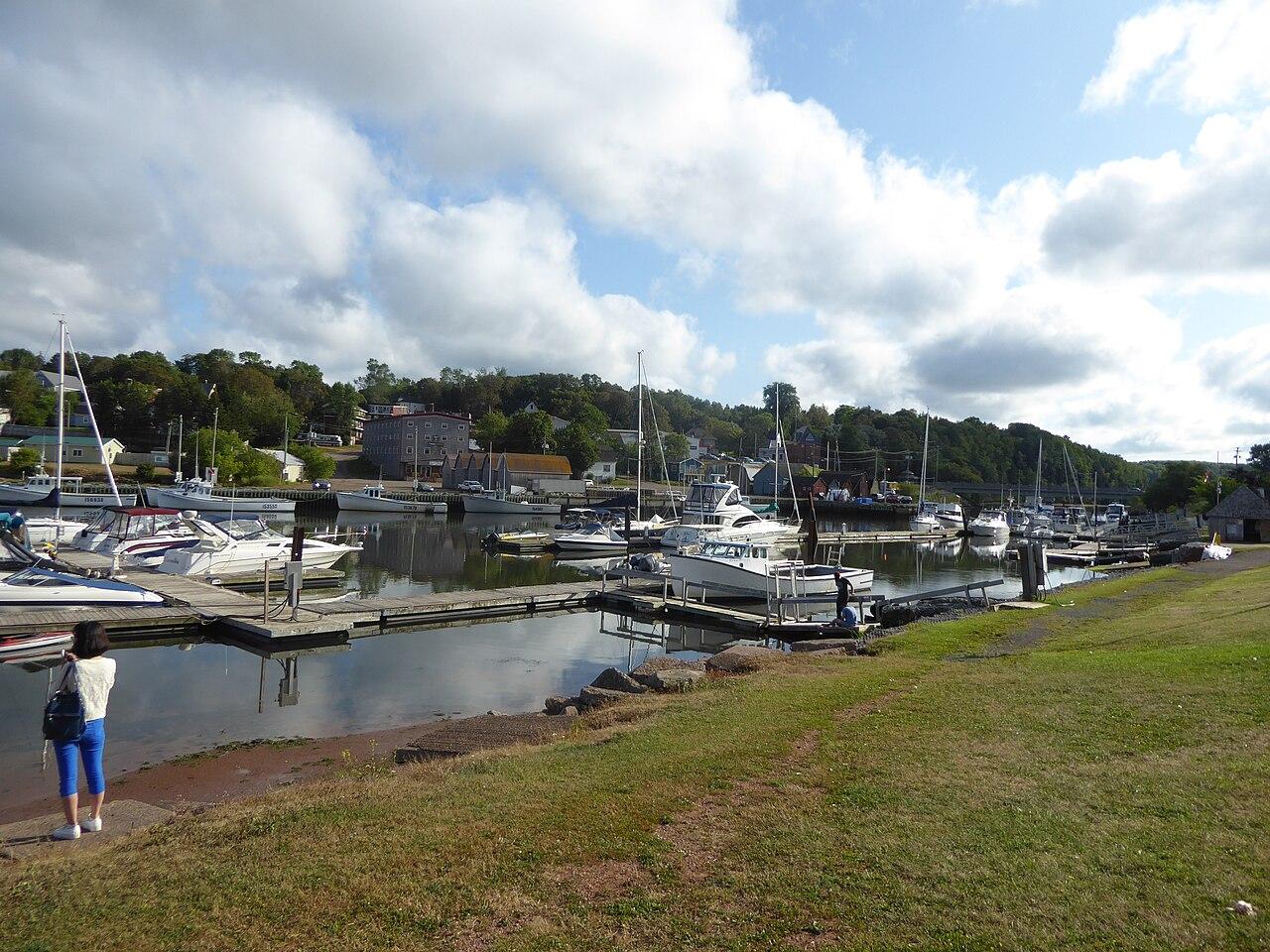 Boats tied along the Montague waterfront, with the town on the hill behind