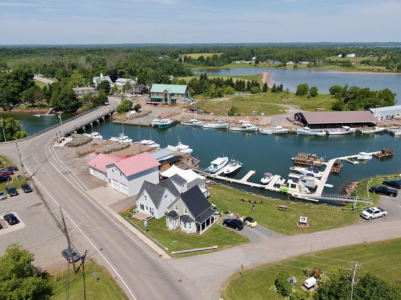 Murray Harbour from the air, with boats along the wharves