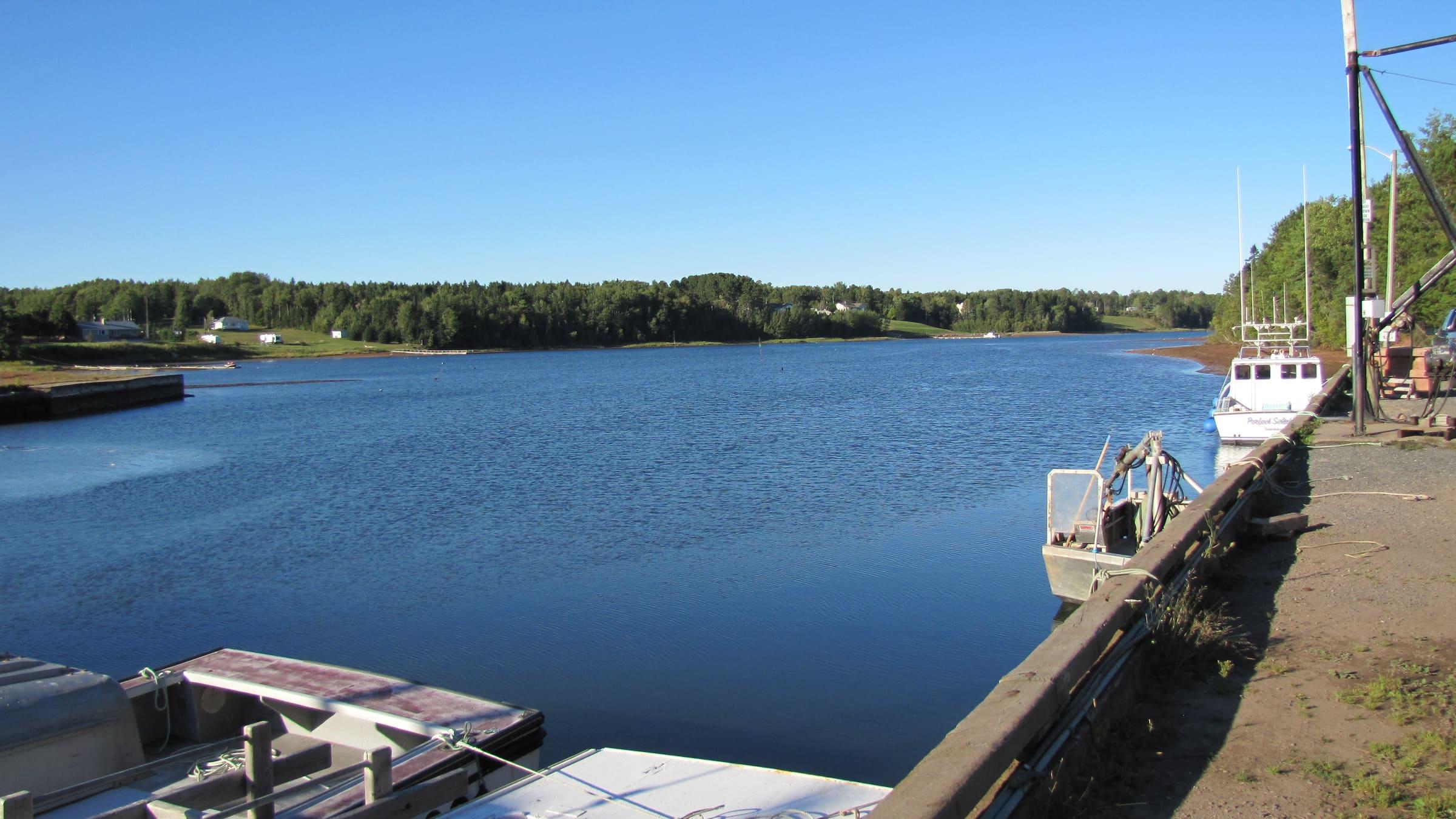 Boats at the marina along Main Street South in Murray River