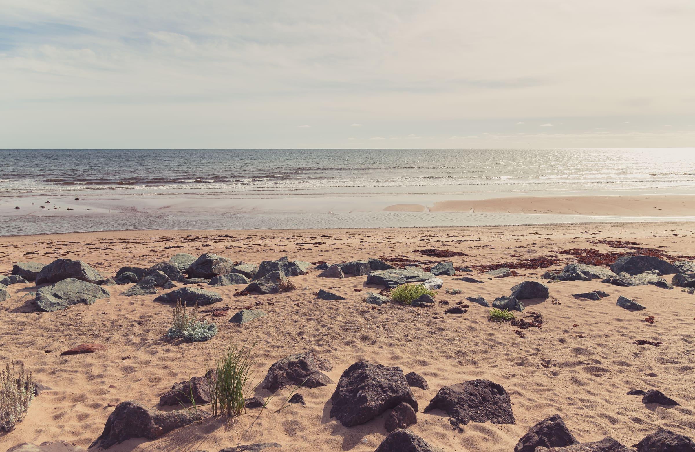 Wide pale sand and shallow water at Panmure Island Provincial Park Beach