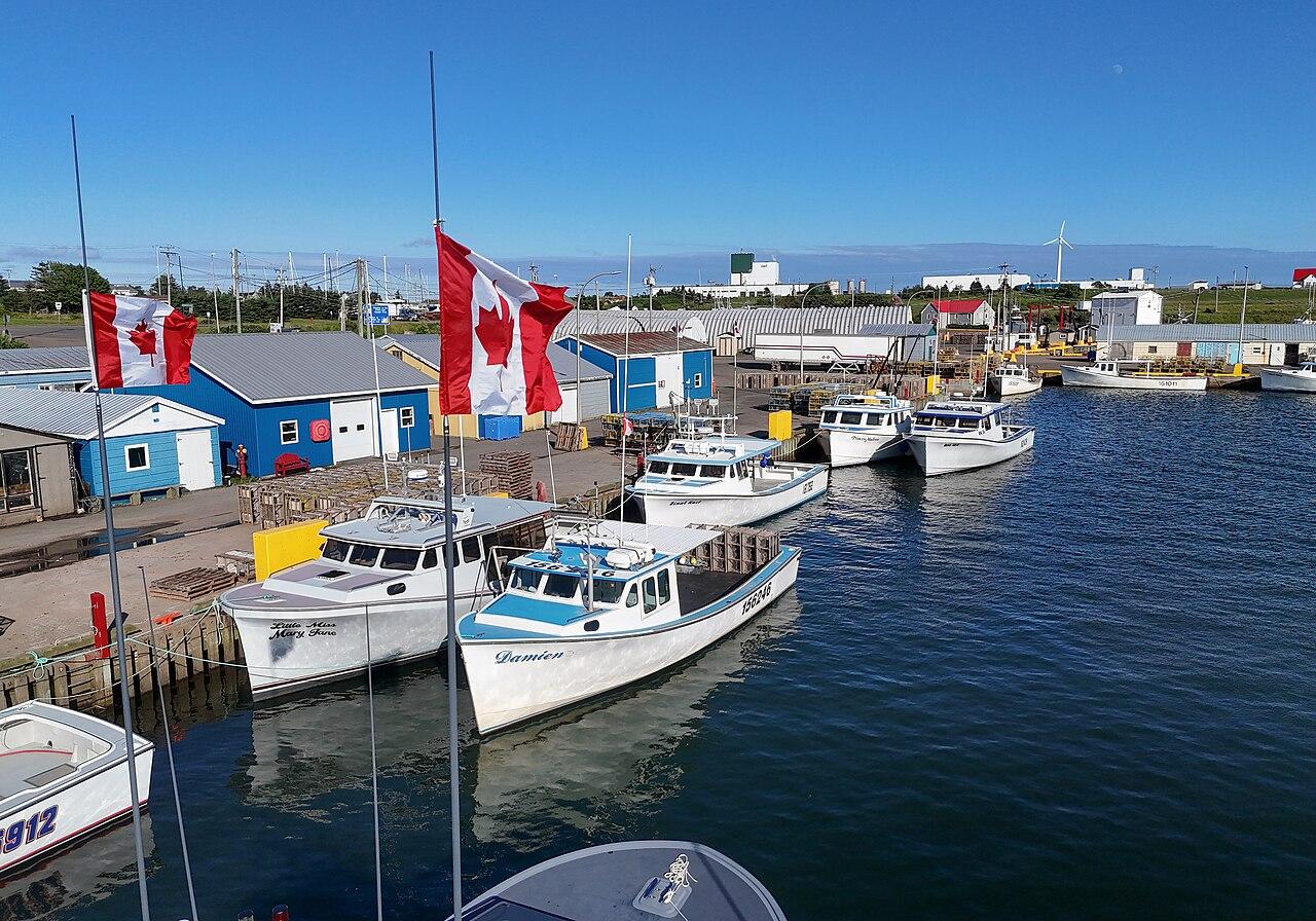 Fishing boats tied at Souris Harbour beside sheds and Canadian flags