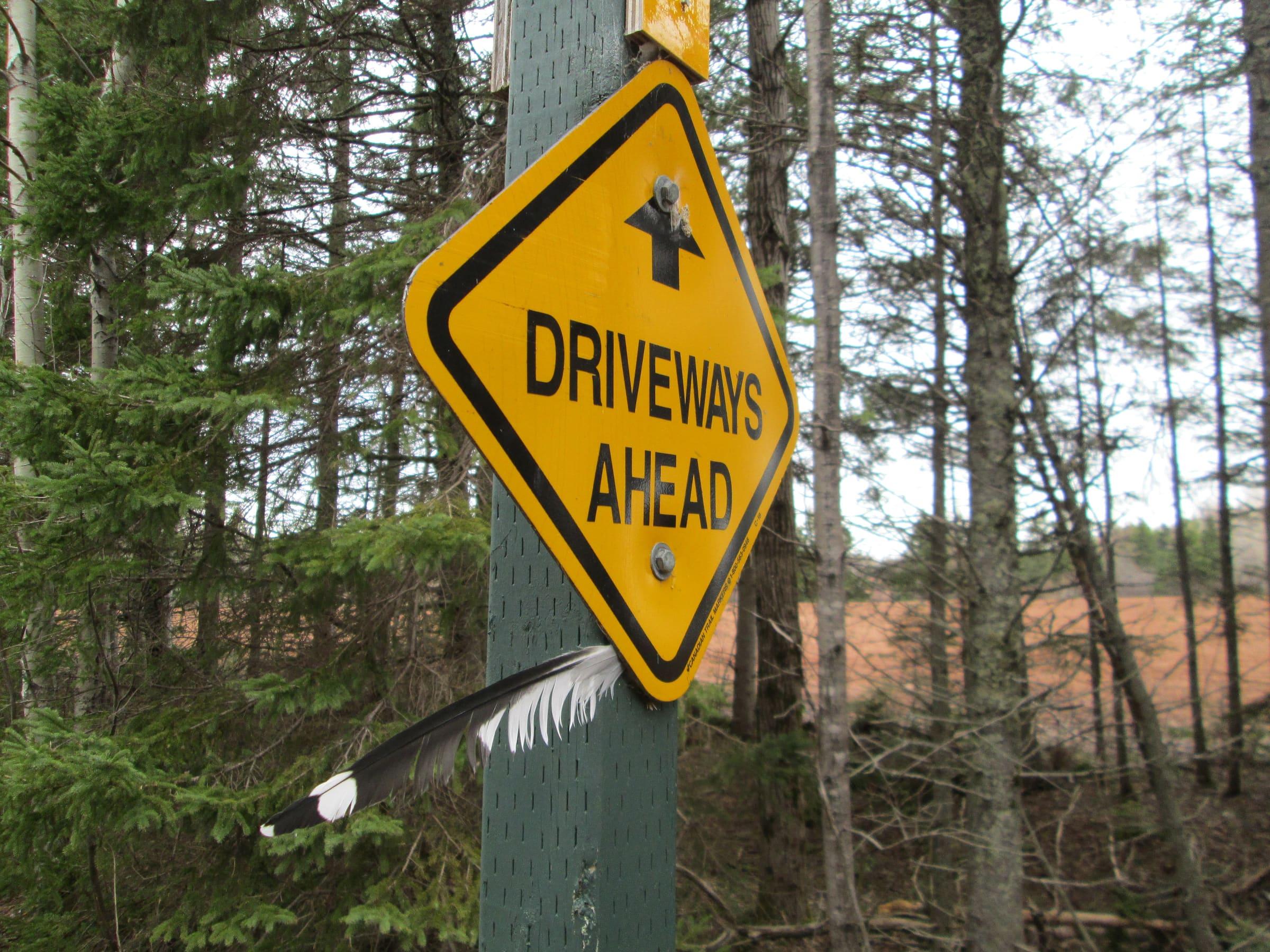 The Confederation Trail near Cardigan, a gravel path through spring woods